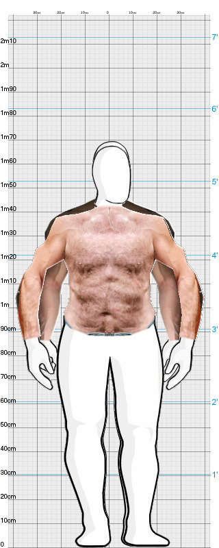 Full Size Comparison