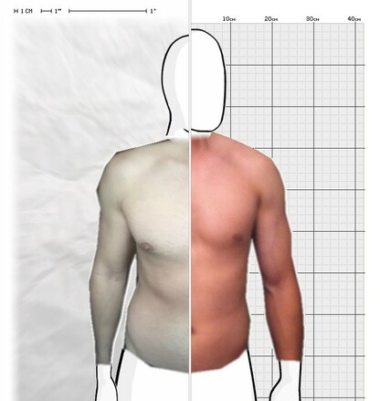 Torso Comparison