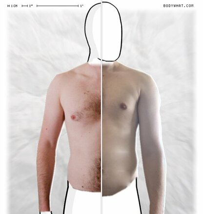 Torso Comparison