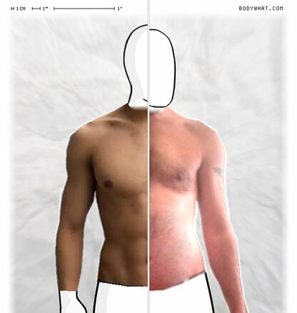 Torso Comparison