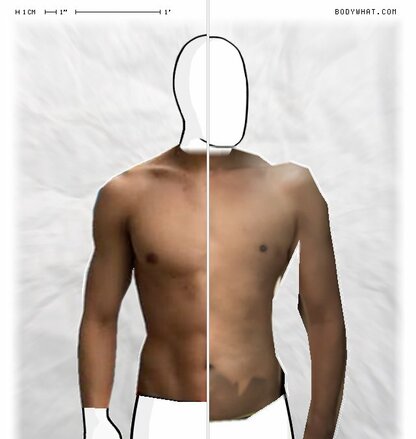 Torso Comparison