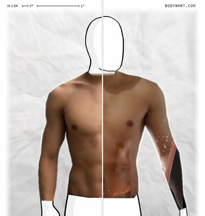 Torso Comparison