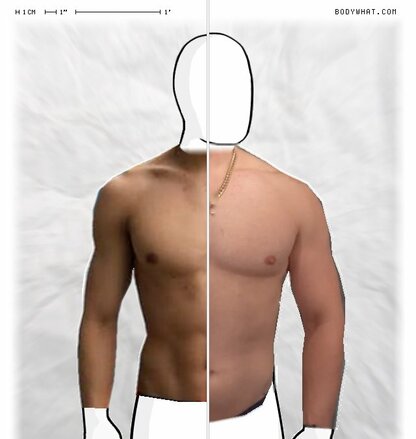 Torso Comparison