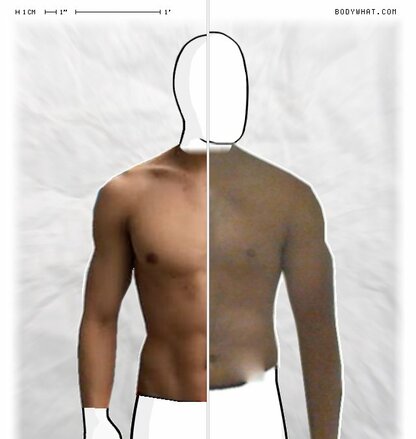 Torso Comparison