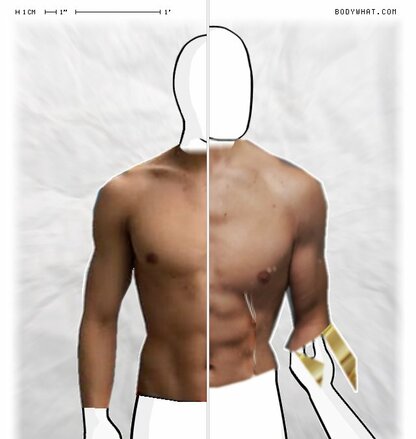 Torso Comparison