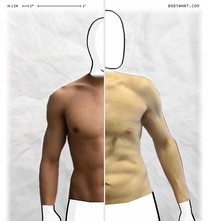 Torso Comparison