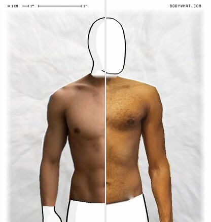 Torso Comparison