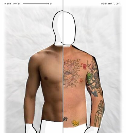 Torso Comparison
