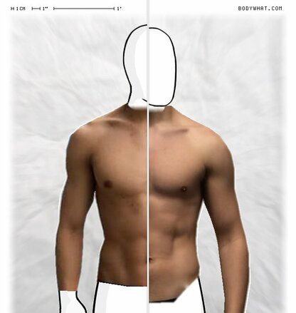 Torso Comparison