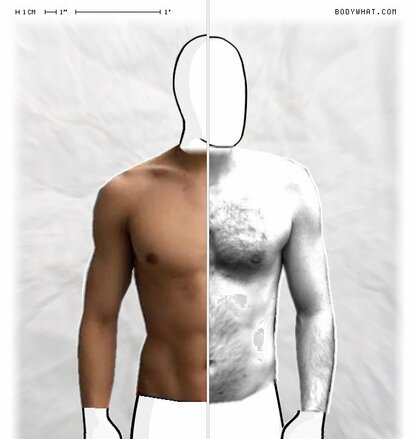 Torso Comparison