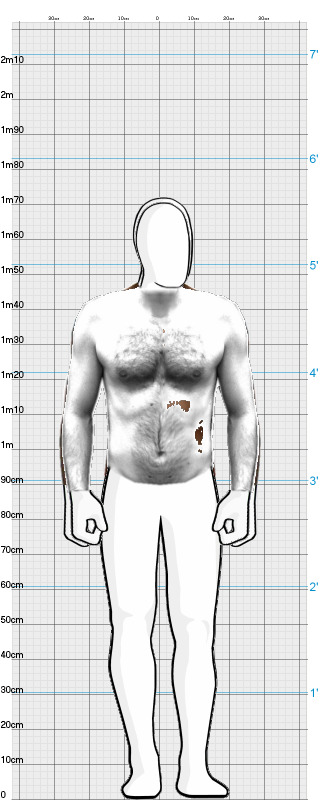 Full Size Comparison