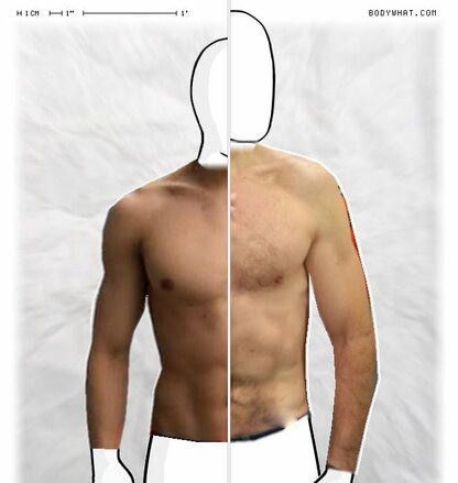 Torso Comparison