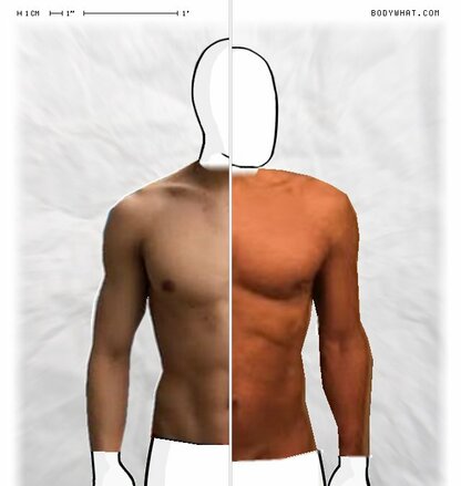 Torso Comparison