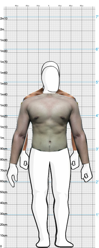 Full Size Comparison