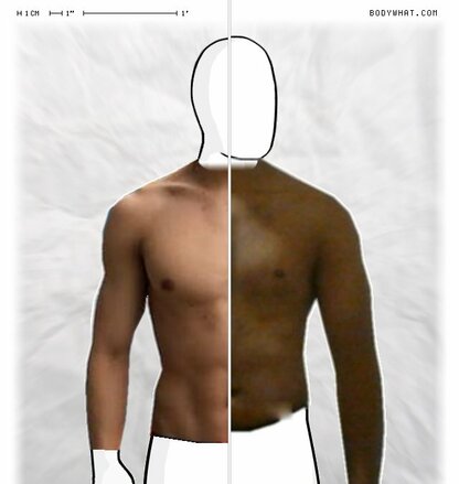 Torso Comparison