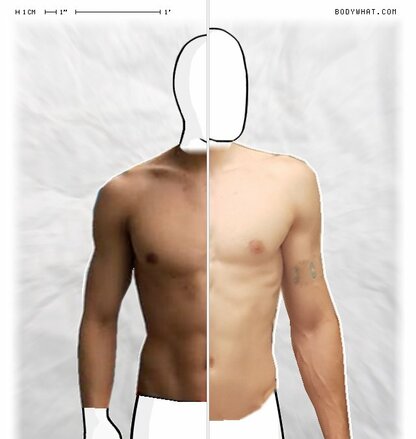 Torso Comparison