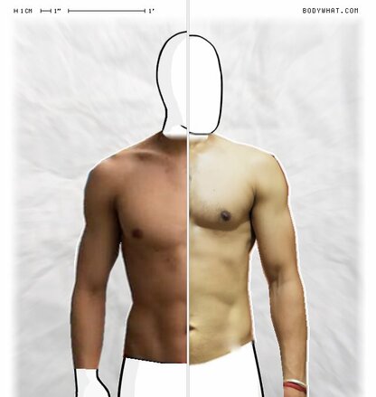 Torso Comparison
