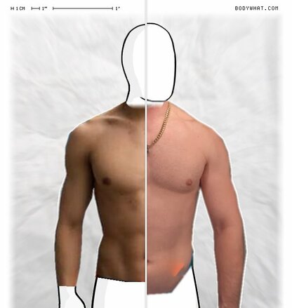 Torso Comparison