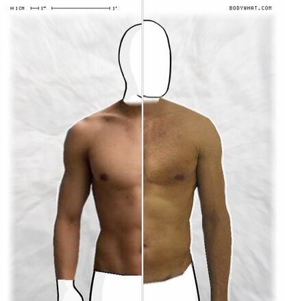 Torso Comparison