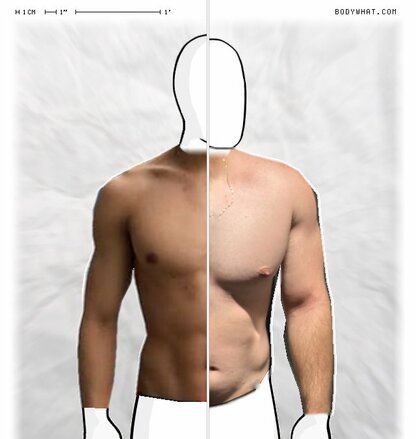 Torso Comparison