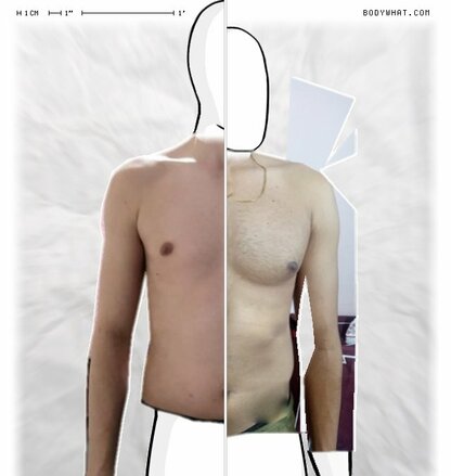 Torso Comparison