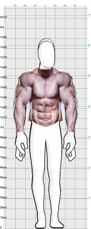 Full Size Comparison