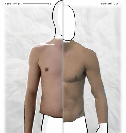 Torso Comparison