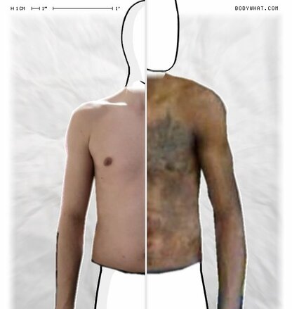 Torso Comparison