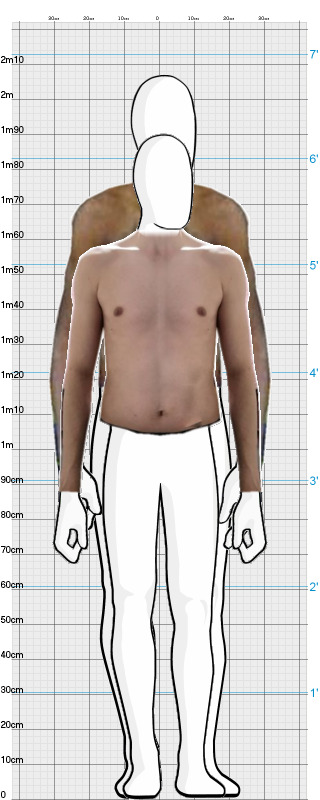 Full Size Comparison