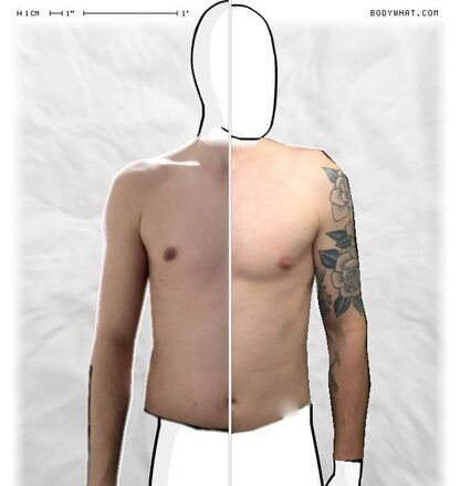 Torso Comparison