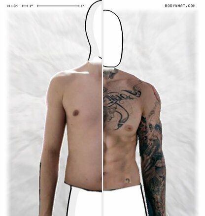 Torso Comparison