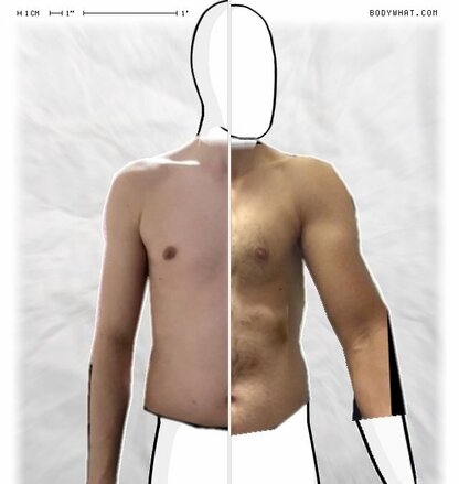 Torso Comparison