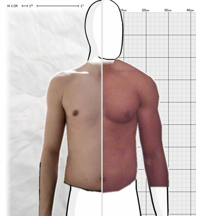Torso Comparison