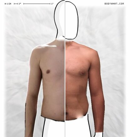 Torso Comparison