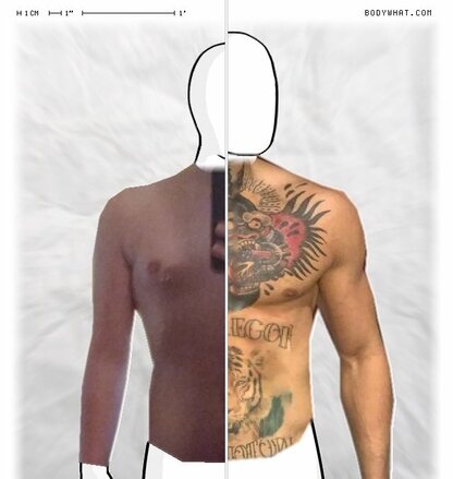 Torso Comparison