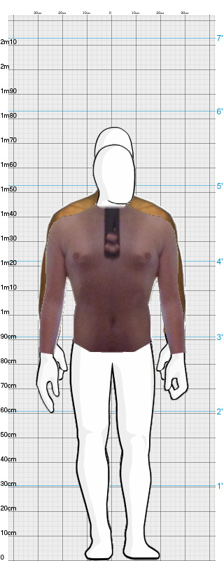 Full Size Comparison