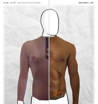 Torso Comparison