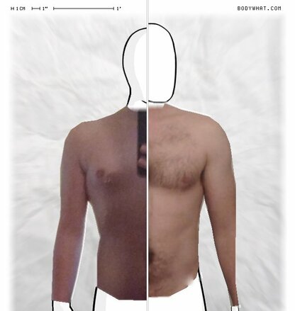 Torso Comparison