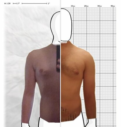 Torso Comparison
