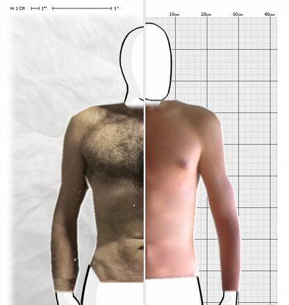 Torso Comparison