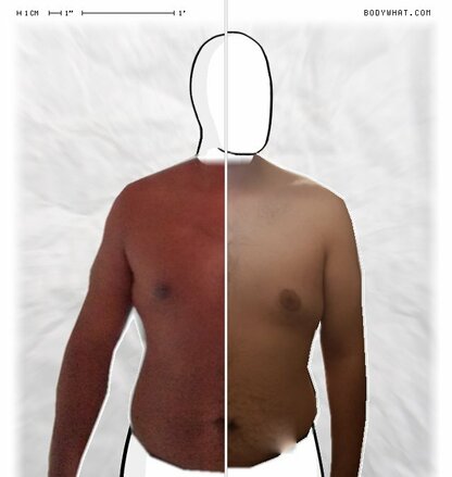 Torso Comparison