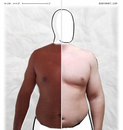 Torso Comparison