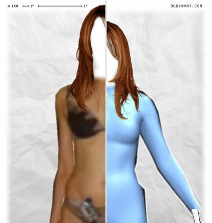 Torso Comparison