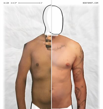 Torso Comparison