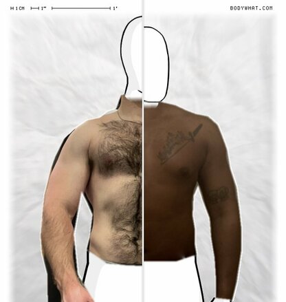 Torso Comparison