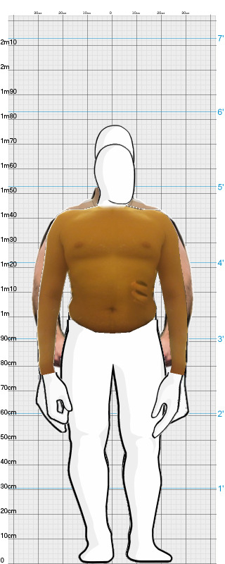 Full Size Comparison