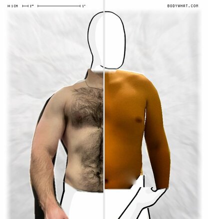 Torso Comparison