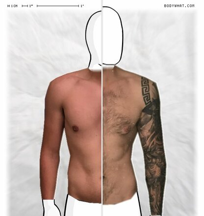 Torso Comparison