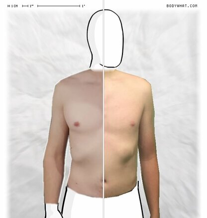 Torso Comparison