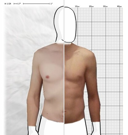 Torso Comparison